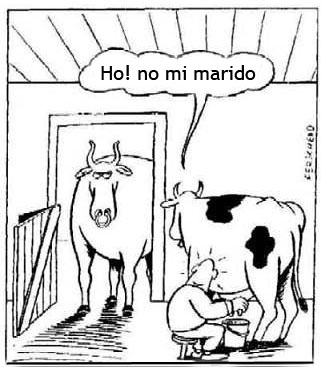 grasioso grasioso