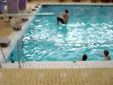 Ver video