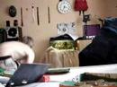 Ver video